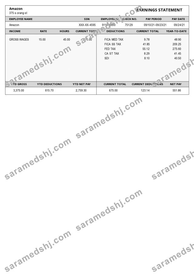 Amazon Paystub